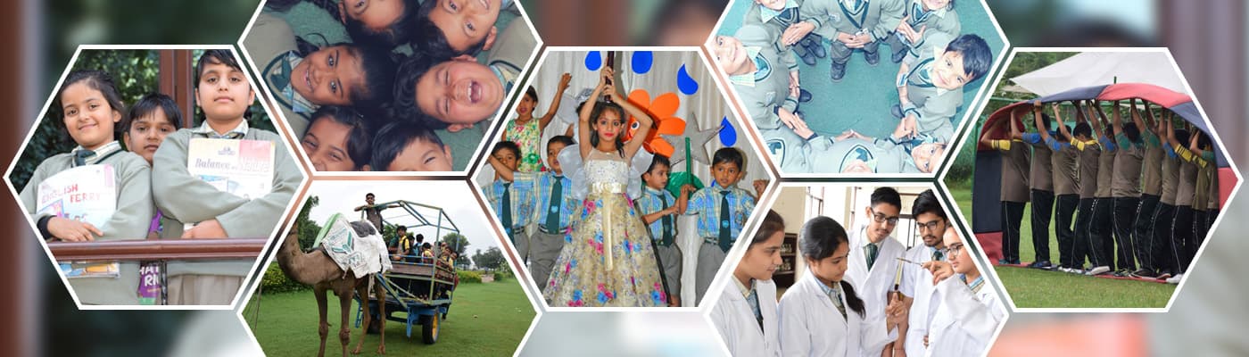 NKPS Murlipura Students Shine in the 2025 Board Results