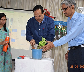 SEED GERMINATION ACTIVITY
